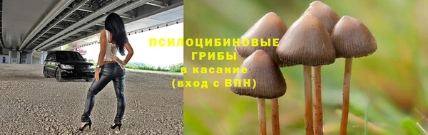 ПСИЛОЦИБИНОВЫЕ ГРИБЫ Богородск