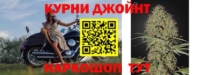 дживик Балахна