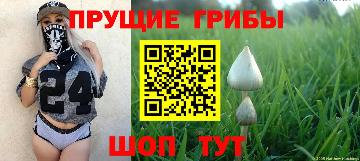 А ПВП  ГАШ  ЛЁД  Мяу-Мяу  Новомосковск  КОКАИН  Вход с VPN  Конопля  Бошки Шишки  Кокаин  Где купить 