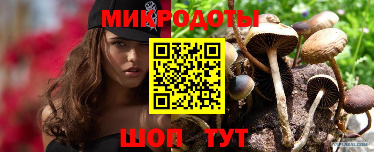 магазин    Галлюциногенные грибы Magic Shrooms  Вход с VPN  Новомосковск 