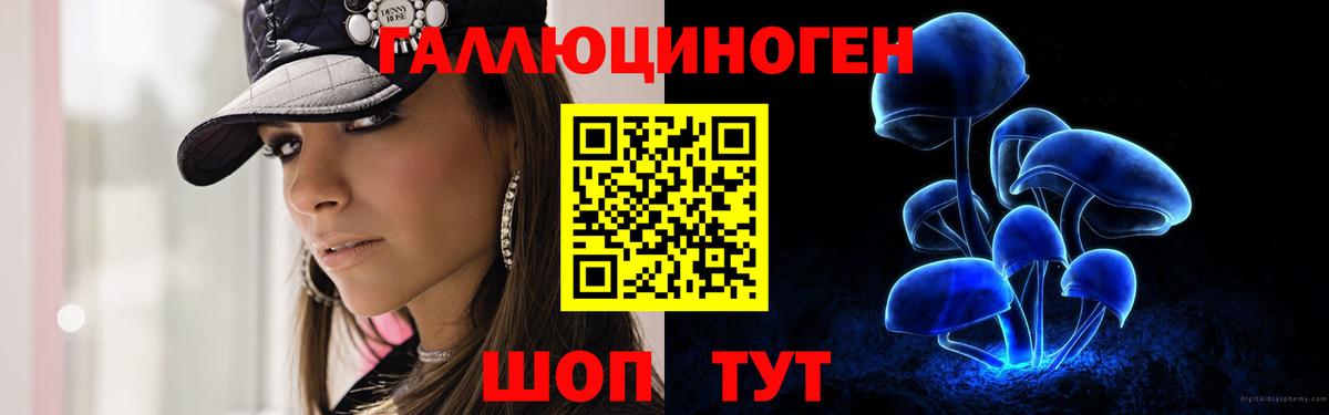 Псилоцибиновые грибы прущие грибы  Новомосковск 